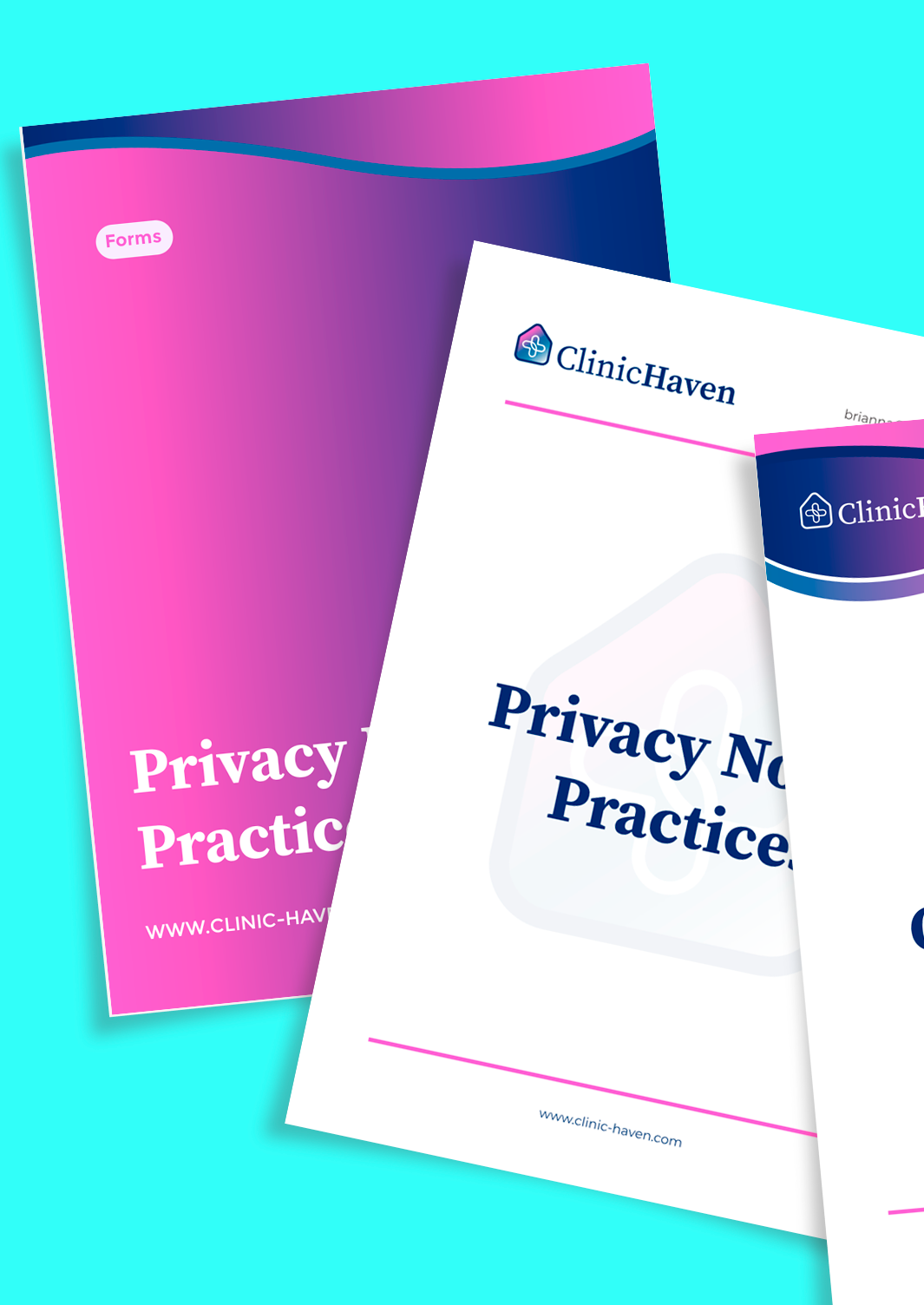 Privacy Notice Practices